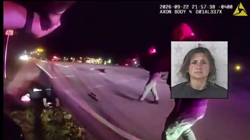 Woman arrested after driving off in BSO car, deputies say