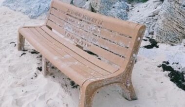 Memorial bench swept away during Hurricane Helene two years ago found in Bermuda