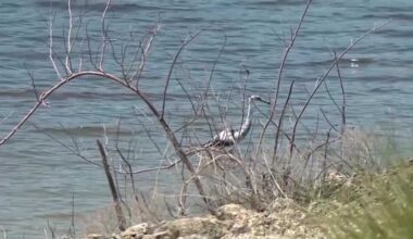 Amendment 3 sparks concerns over water quality funding in Martin County