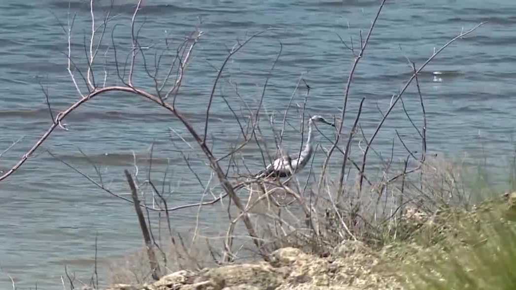 Amendment 3 sparks concerns over water quality funding in Martin County