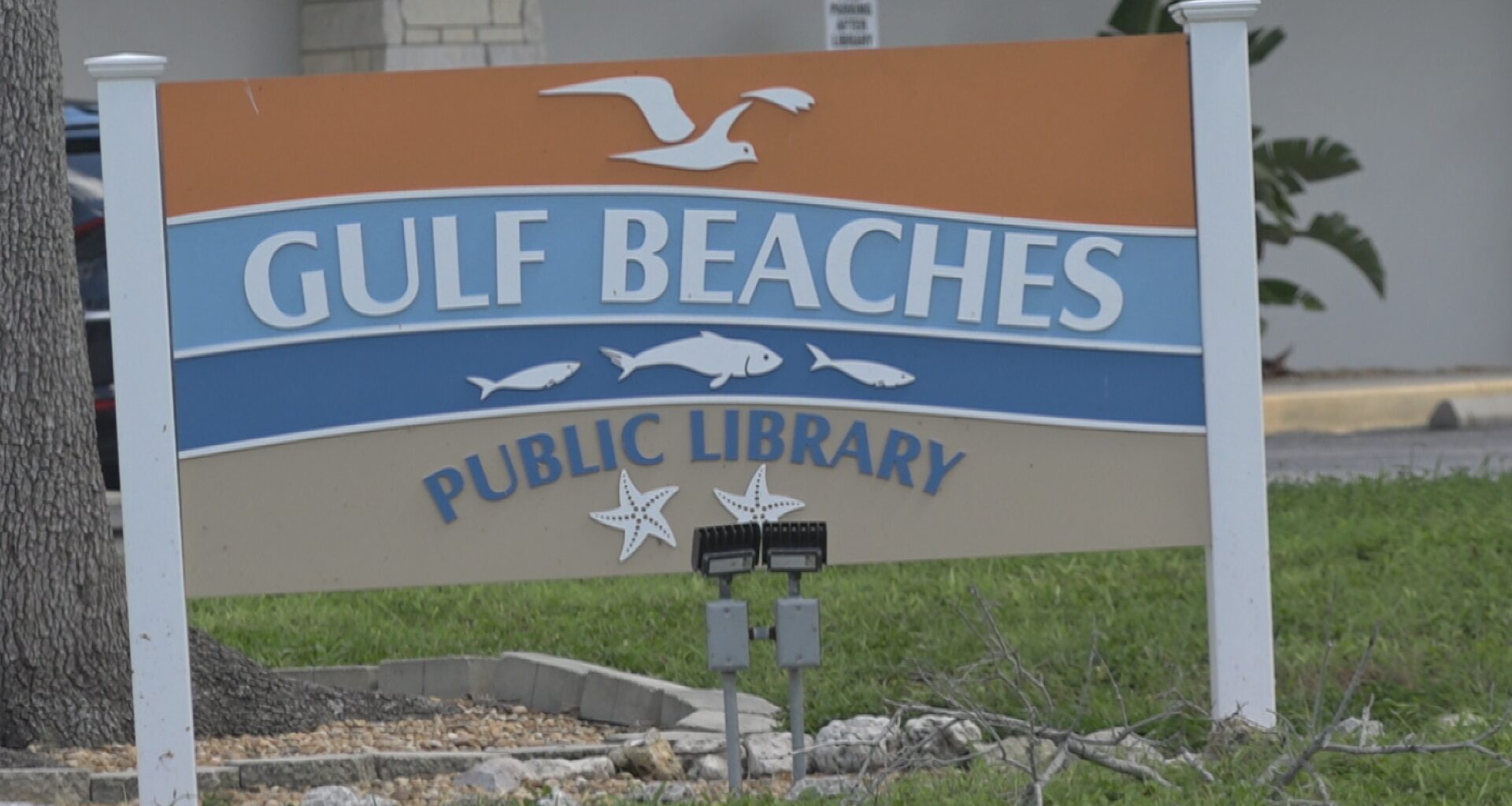 Treasure Island considers changes to free library card program