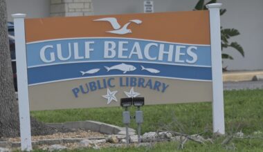 Treasure Island considers changes to free library card program