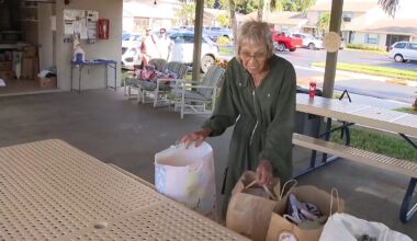 Everyday Hero Gail Brnich says that after 15 years, her work with children entering foster care continues to be meaningful for her. (Spectrum News)