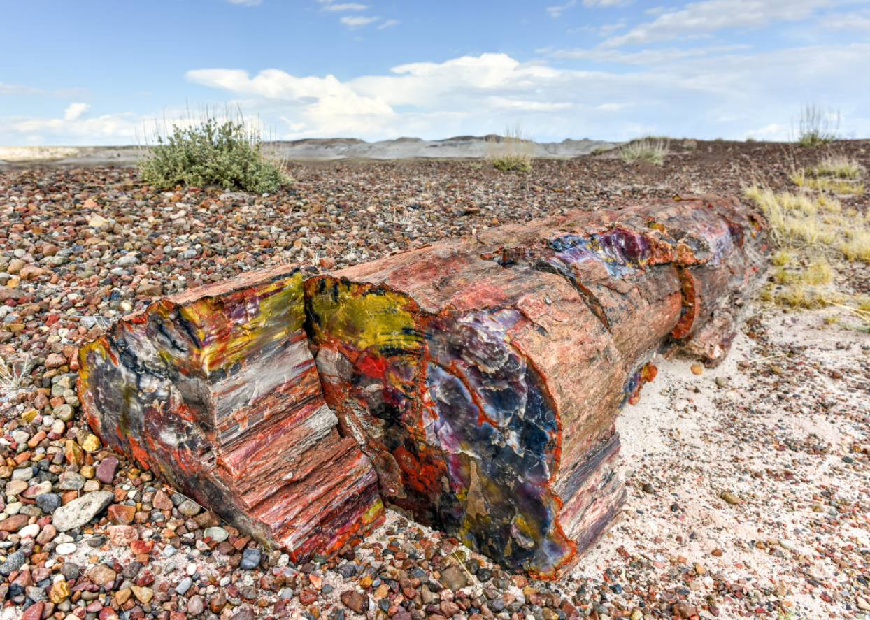 #27. Petrified Forest National Park (Arizona)