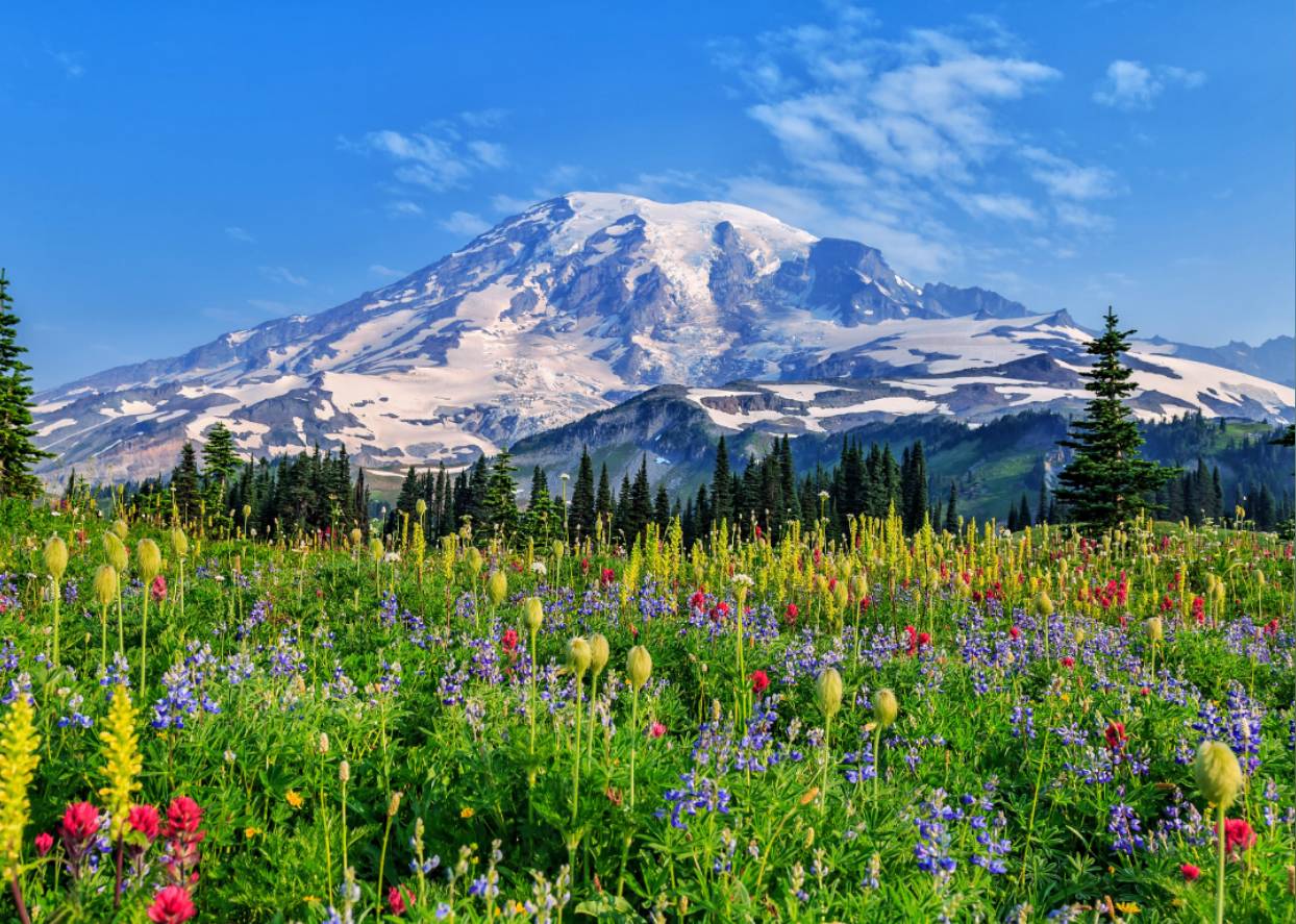 #49. Mount Rainier National Park (Washington)
