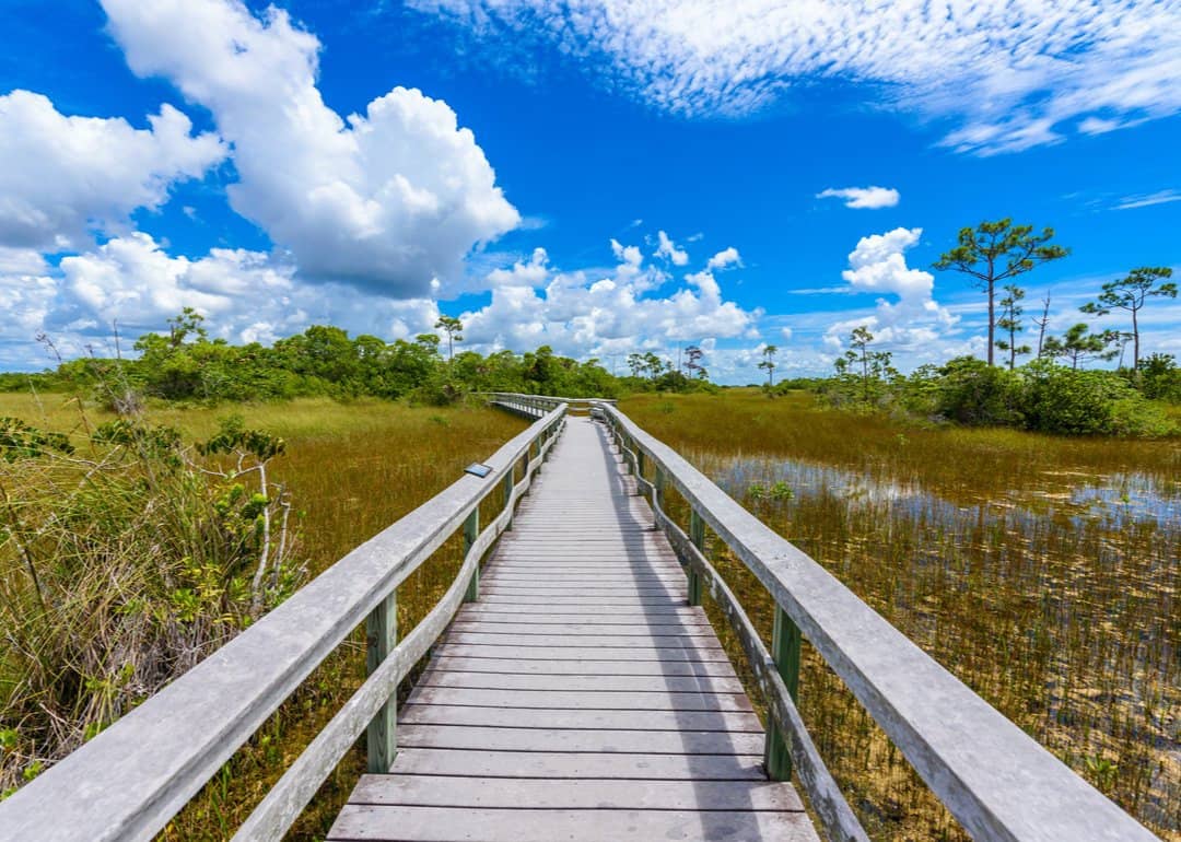 #2. Everglades National Park (Florida)