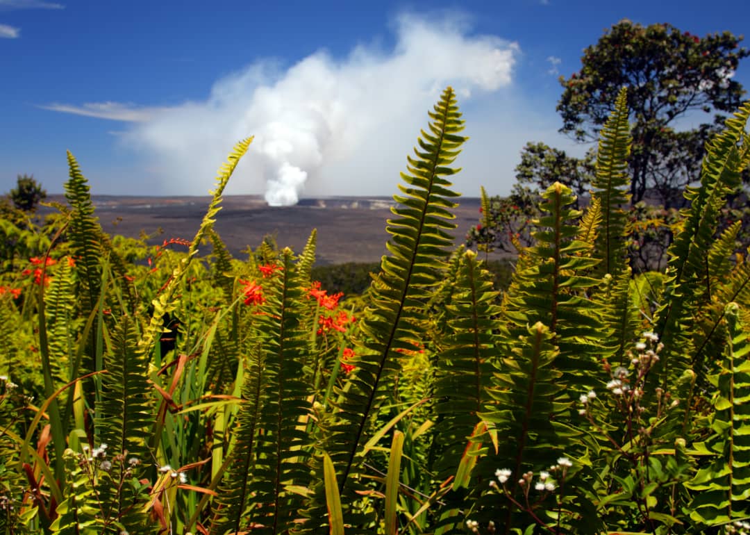 #61. Hawaiʻi Volcanoes National Park (Hawaii)