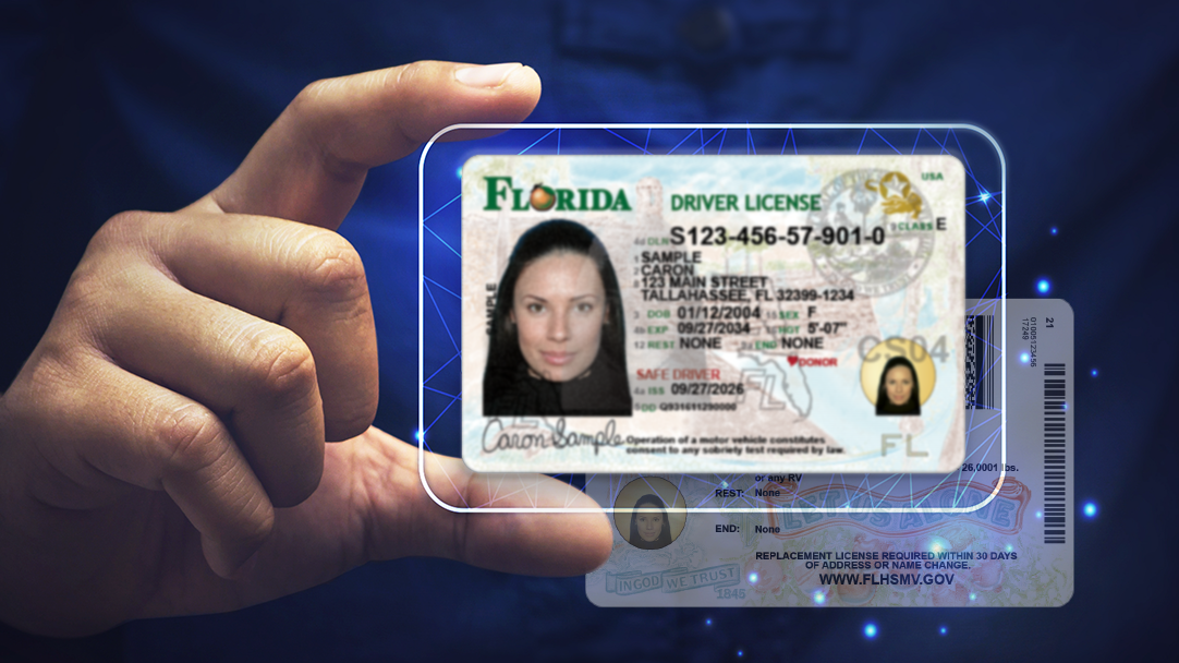 Florida redesigns its driver's licenses and ID cards