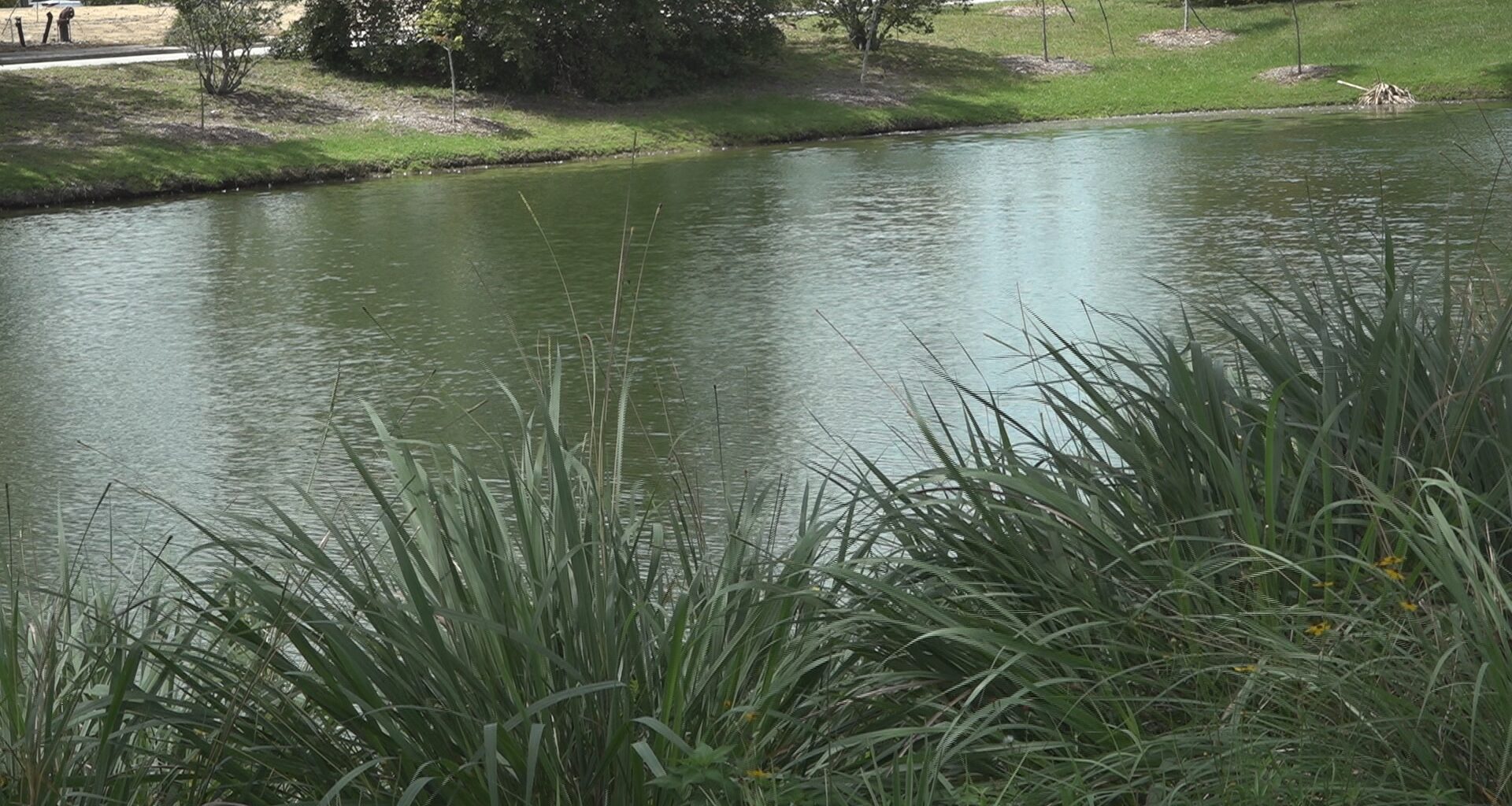 Jacksonville drowning prevention committee to examine retention pond safety: 'Everything is on the table'