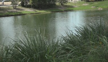 Jacksonville drowning prevention committee to examine retention pond safety: 'Everything is on the table'