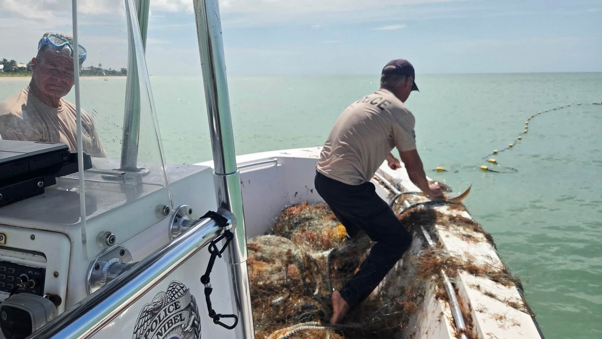 Officers with the Florida Fish and Wildlife Conservation Commission haul an illegal, 500-foot net from the Gulf in waters near Sanibel Island. This is a gil net, which was banned by the state in 1995 to help the state's recreational fisheries rebound from overharvest. Officers with the Florida Fish and Wildlife Conservation Commission haul an illegal, 500-foot net from the Gulf in waters near Sanibel Island. This is a gil net, which was banned by the state in 1995 to help the state's recreational fisheries rebound from overharvest.