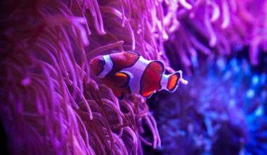 Florida Aquarium Offers Buy-One-Get-One Admission Deal Friday Nights Through September