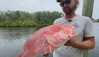 Florida Fish and Wildlife expands red snapper season