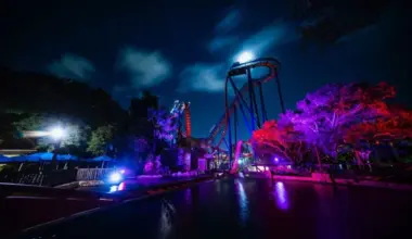 Things To Do in Tampa This Weekend: September 11-September 13