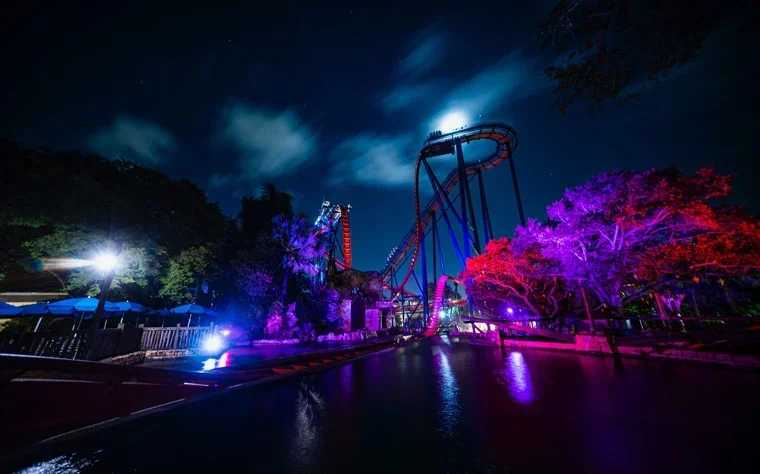 Things To Do in Tampa This Weekend: September 11-September 13