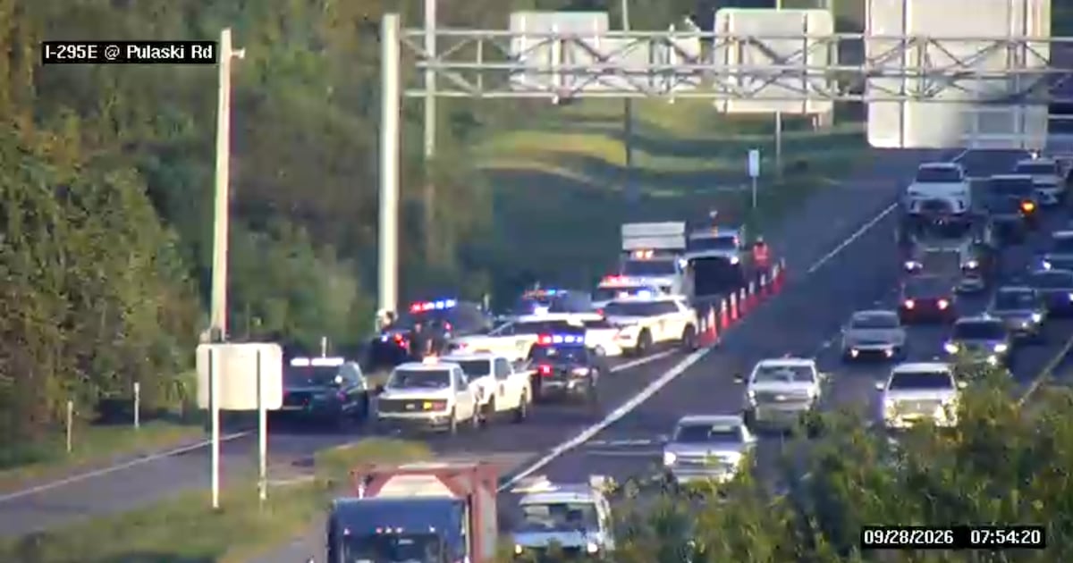 Suspect arrested after fleeing traffic stop on I-295 East