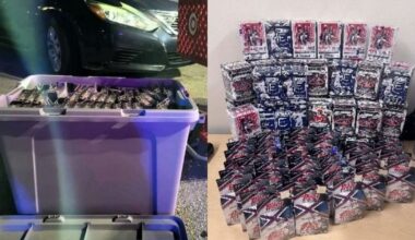 Jacksonville duo caught stealing $2,500 worth of trading cards