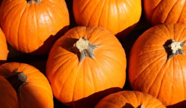 Cranes Roost Park announces fall events through October