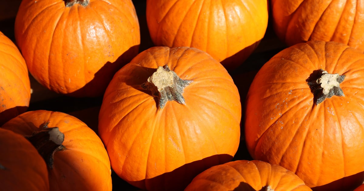 Cranes Roost Park announces fall events through October