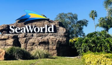 Here’s how teachers can get free admission to SeaWorld Orlando for a year – Action News Jax