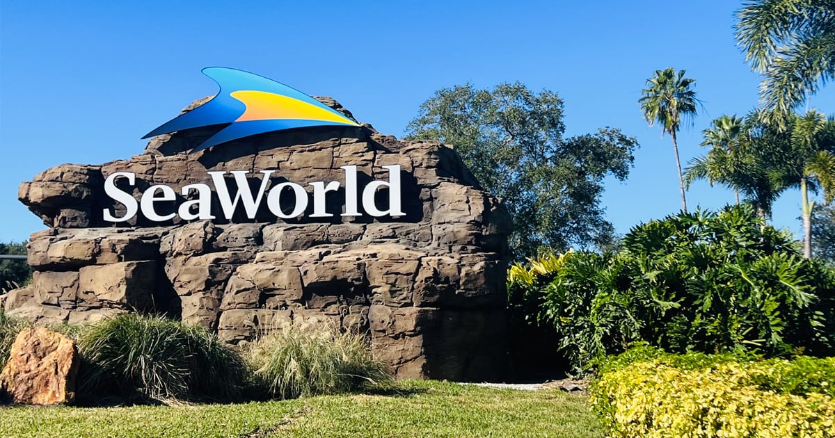 Here’s how teachers can get free admission to SeaWorld Orlando for a year – Action News Jax