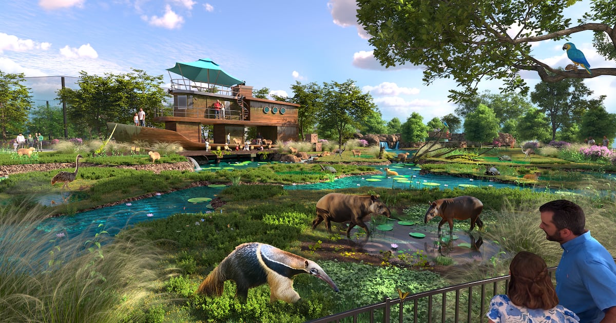 Hillsborough approves $75M contract for ZooTampa upgrades