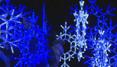 Dazzling Nights returns to Harry P. Leu Gardens this season