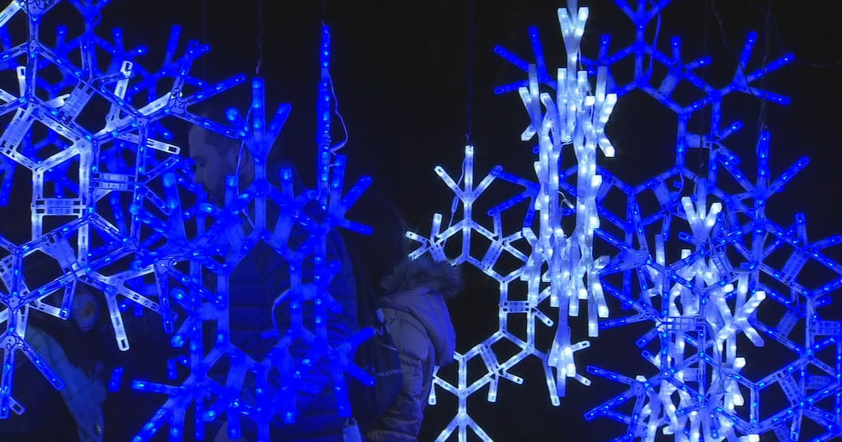 Dazzling Nights returns to Harry P. Leu Gardens this season