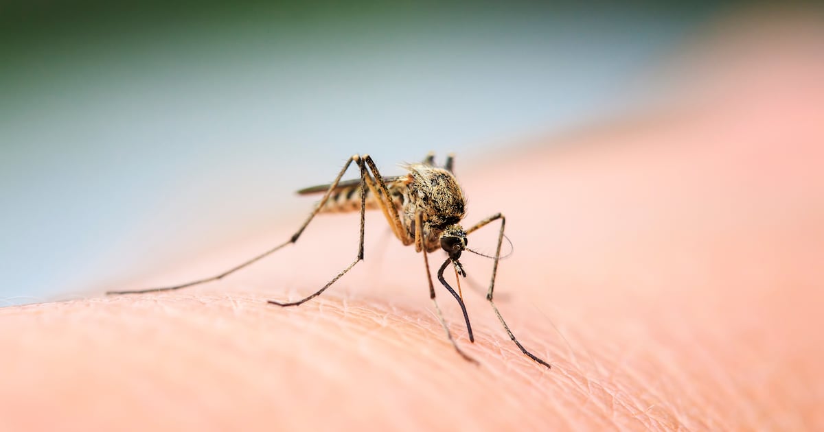 Duval County reports second locally acquired West Nile case
