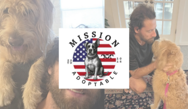 New program pairs shelter dogs with veterans for stress relief