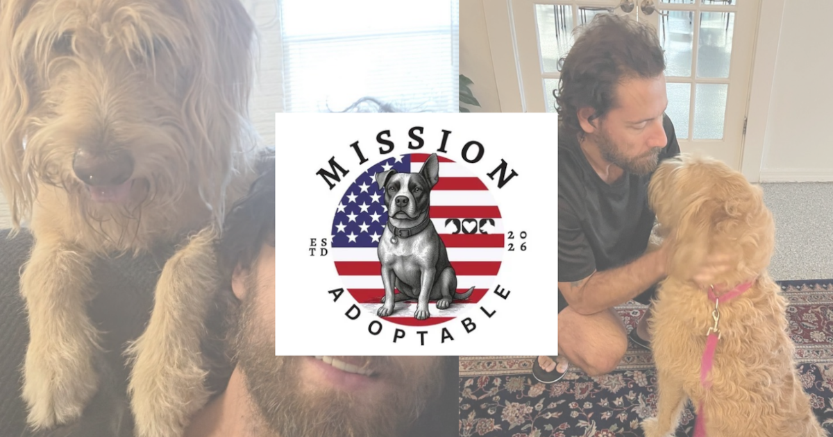 New program pairs shelter dogs with veterans for stress relief
