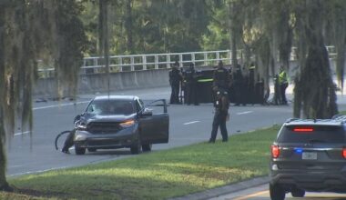 Pedestrian killed in car crash on John Young Parkway