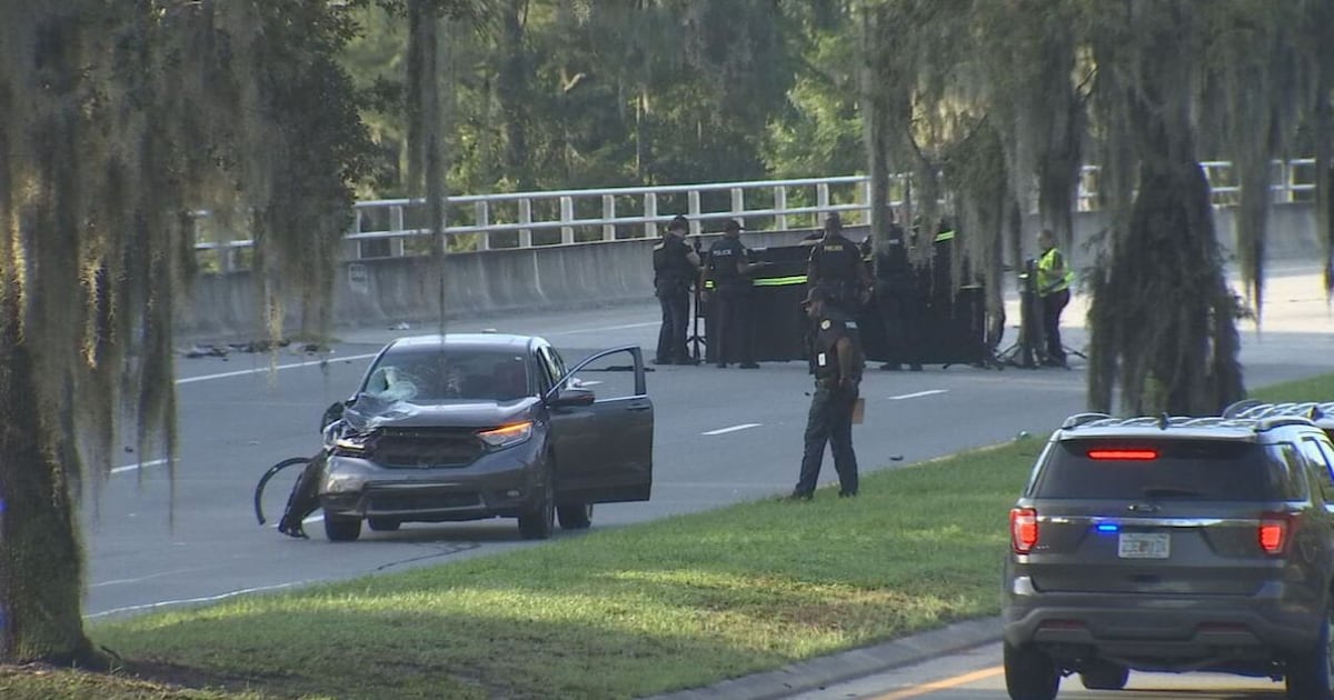 Pedestrian killed in car crash on John Young Parkway