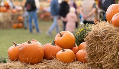 The first weekend of October means the return of fall festivals and farm activities