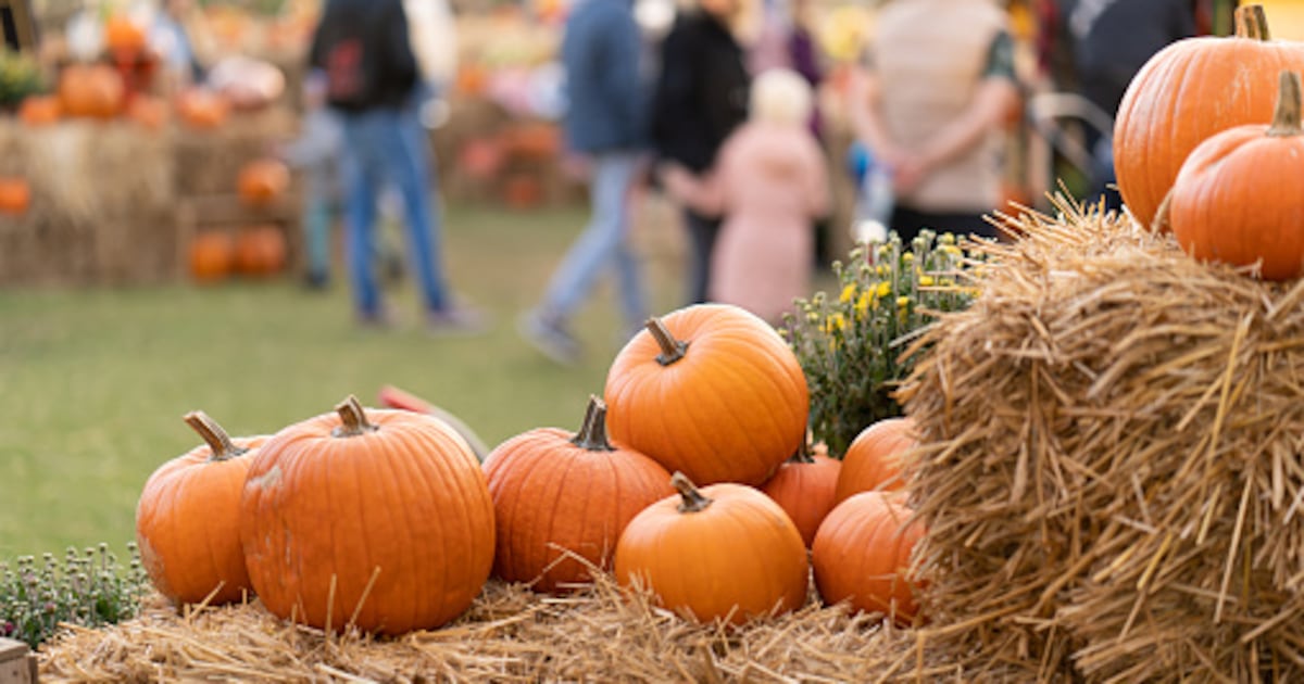 The first weekend of October means the return of fall festivals and farm activities