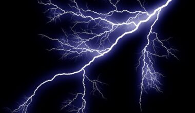 Michigan native killed by lightning in Florida celebration