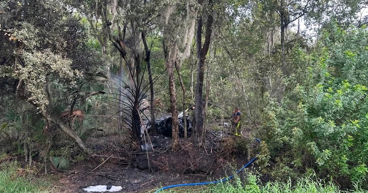 2 dead after small plane crashes, catches fire near Tampa executive airport – WFTV