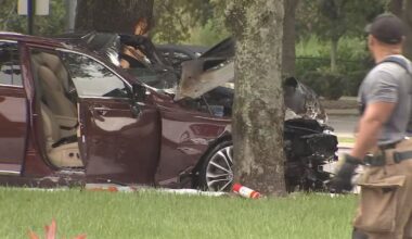 Orange County Crash: Vehicle hits tree, catches fire