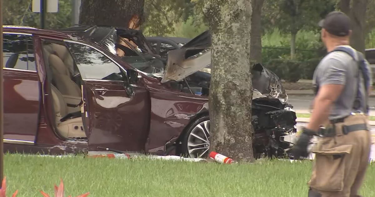Orange County Crash: Vehicle hits tree, catches fire