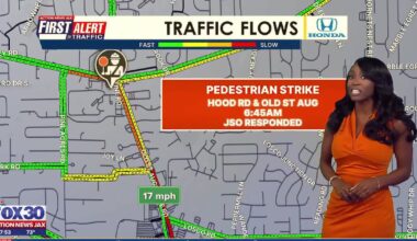 Old St. Augustine Road sees slowdown after pedestrian reportedly struck by car