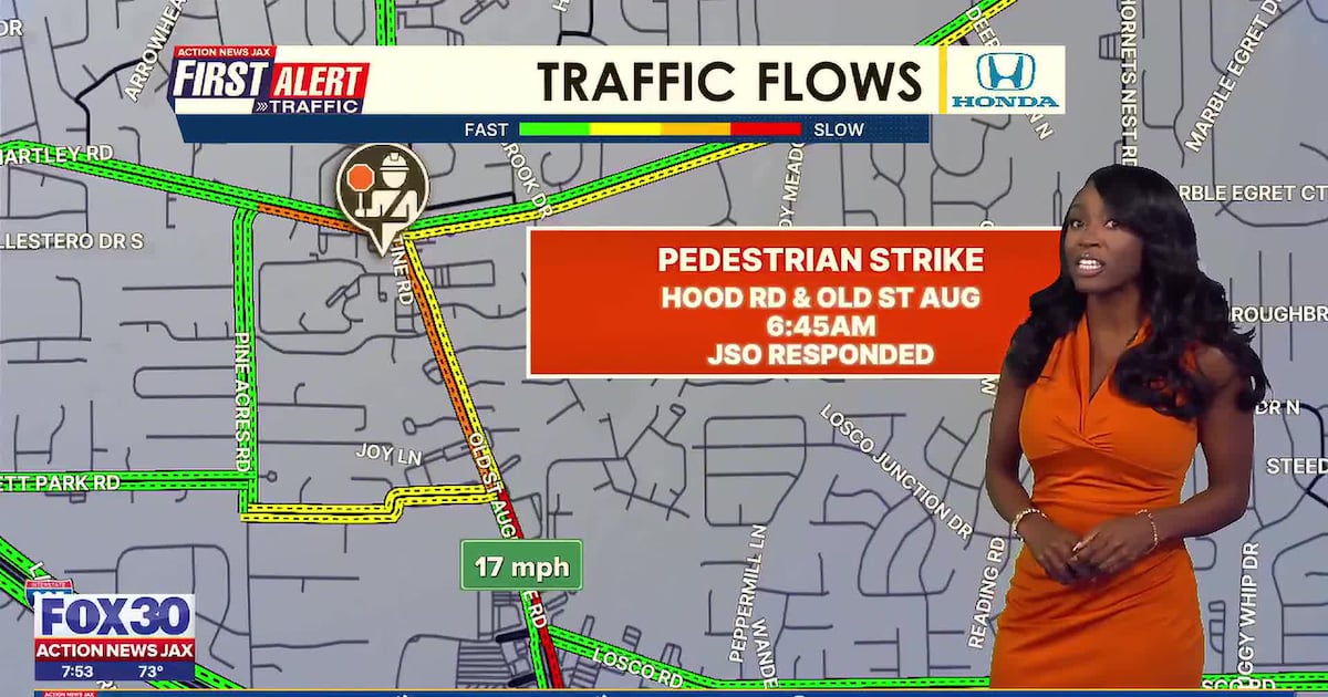 Old St. Augustine Road sees slowdown after pedestrian reportedly struck by car