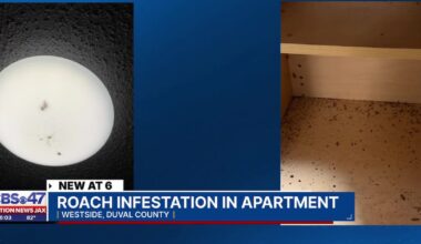 80-year-old woman recovering from heart surgery faces severe roach infestation – Action News Jax