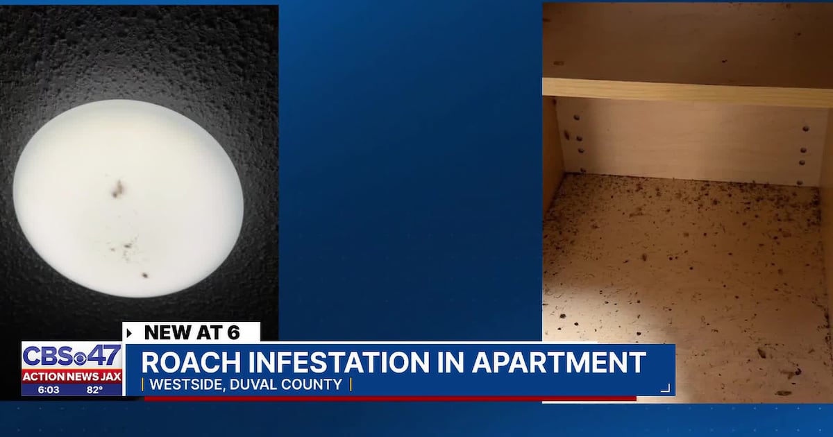 80-year-old woman recovering from heart surgery faces severe roach infestation – Action News Jax