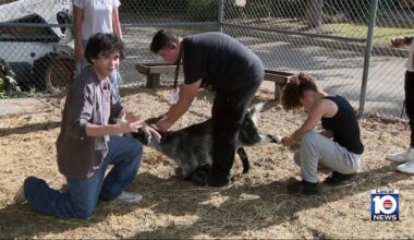 From goats to snakes, South Plantation High students get hands-on lessons in animal care
