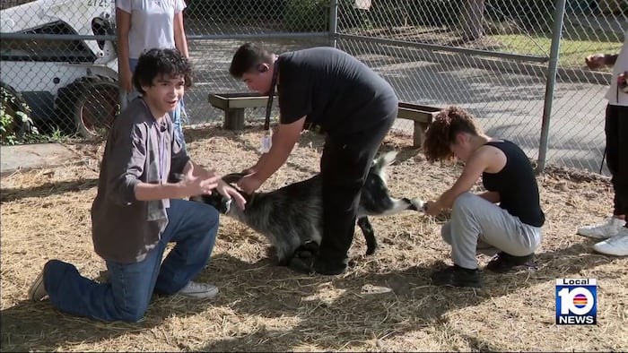 From goats to snakes, South Plantation High students get hands-on lessons in animal care