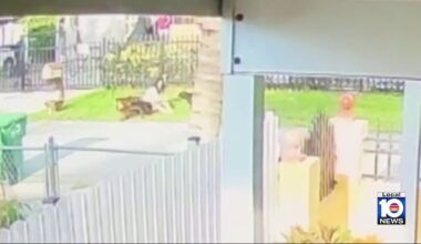 Woman critically injured in dog attack in Biscayne Gardens, deputies say