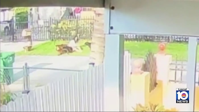Woman critically injured in dog attack in Biscayne Gardens, deputies say