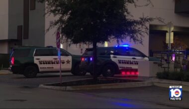 Child, woman hospitalized after dog attack at Dania Beach apartment complex