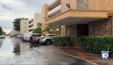 Dania Beach condo president wants more done by city to keep floodwaters from damaging homes