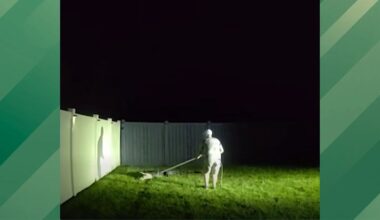 Trappers Called to Help Florida Homeowner With Massive Gator